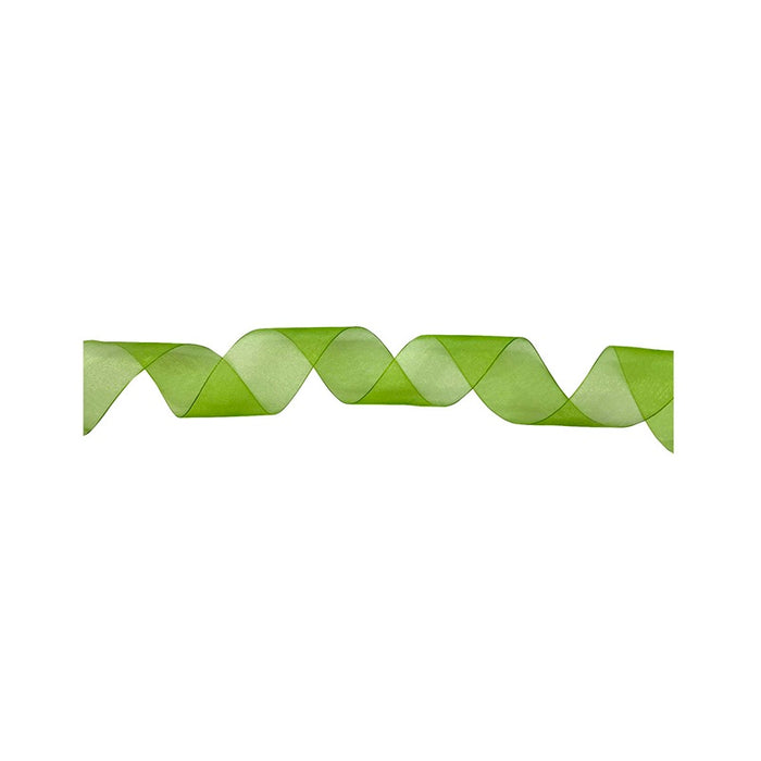 #9 Regal Chiffon Ribbon