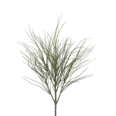 23 in Acorus Bush - Green