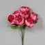 Peony Bush