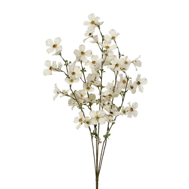 29 in Dogwood Spray - Cream