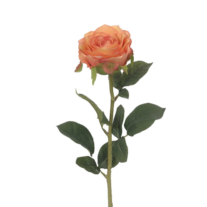 27 in Polyester Rina Rose