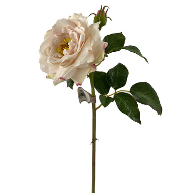 19" English Rose Titania - Light Pink