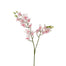 36 in Dendrobium Spray - Pink