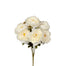 Peony Bush & Filler - Cream
