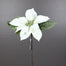 15 in Deluxe Poinsettia Pick - White/Green