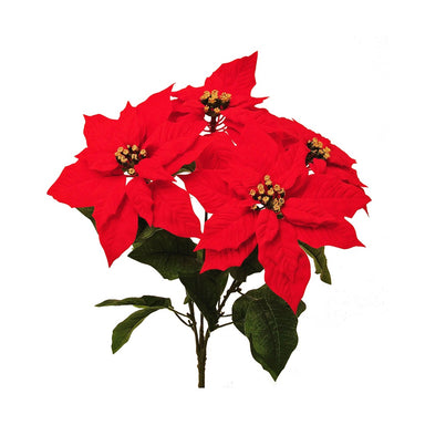 19 in Poinsettia Bush - Red