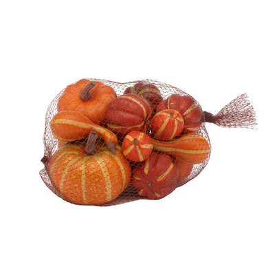 Assortment of 12 Pumpkins in Mesh Bag - Fall Mix