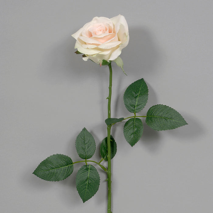 25" Sylvia Rose w/2 Sets of Leaves - Champagne