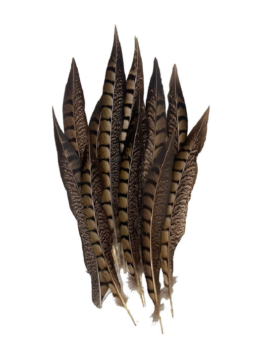 Pheasant Feathers