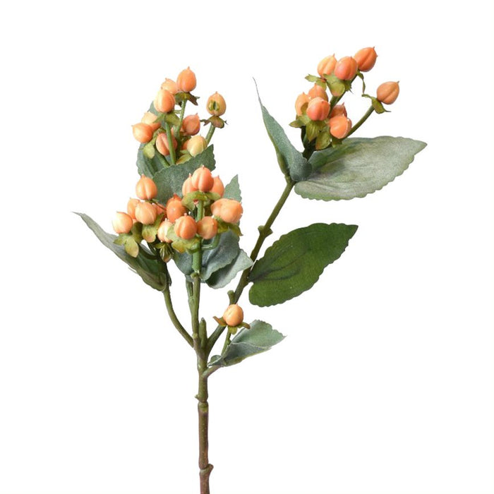 19" Hypericum Spray - Coral