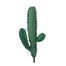 14 in Column Cactus