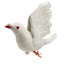 White Feather Dove - Pack of 12