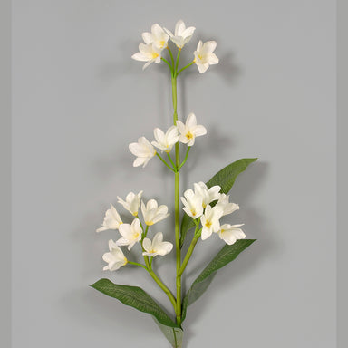 Polyester Plumeria - White/Yellow