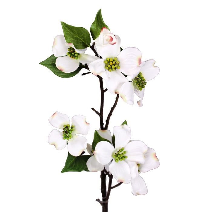 30 in DOGWOOD STEM WHITE