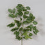 25"L Pvc Watermelon Peperomia Spray - Green