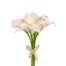 Calla Lily Bundle