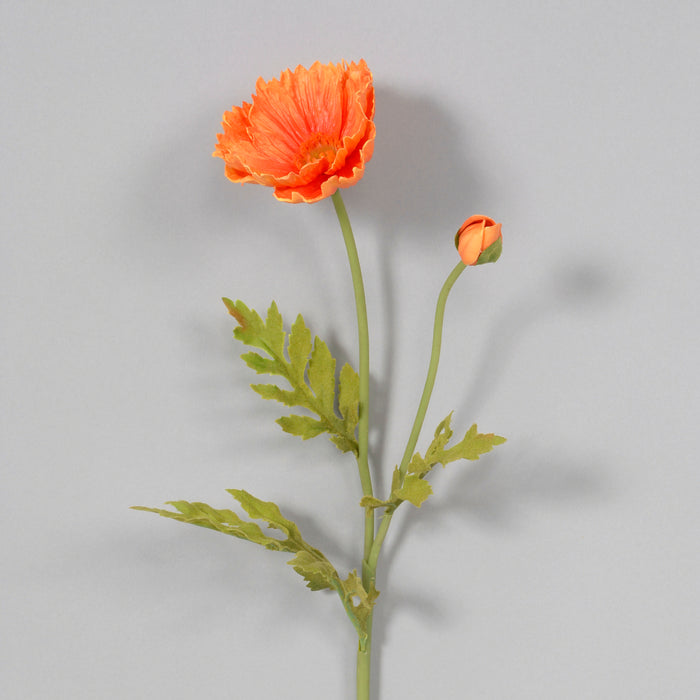 23" Poppy - Orange