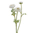 18.5 in Open Ranunculus - White