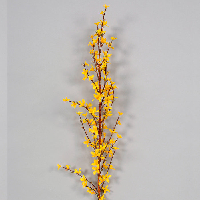 47" Forsythia - Yellow