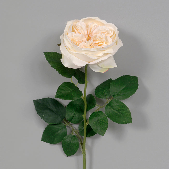 21" Polyester Rose - Beige