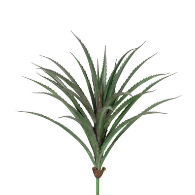 20"L Pe Pandan Leaf Plant - Pink/Green