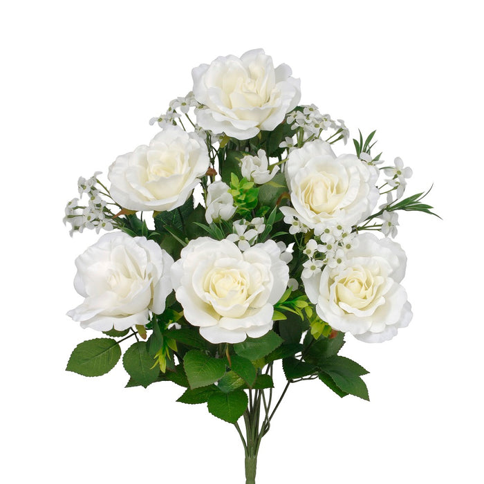 21 in Rose Hydrangea Bush