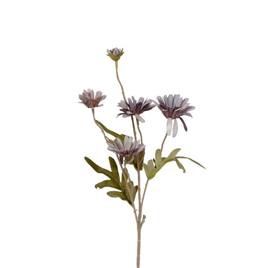 Fall Daisy - Dusty Plum
