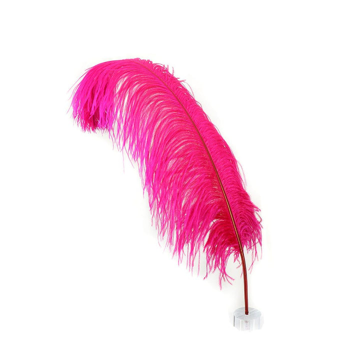 Ostrich Feathers