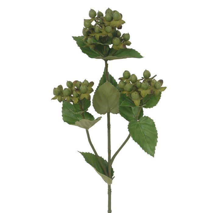 26 in Hypericum Spray - Green