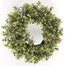 Boxwood Wreath - Green/Gold