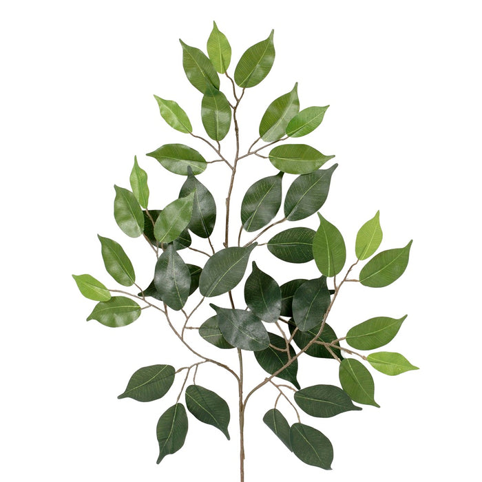 23" Ficus Spray - Green