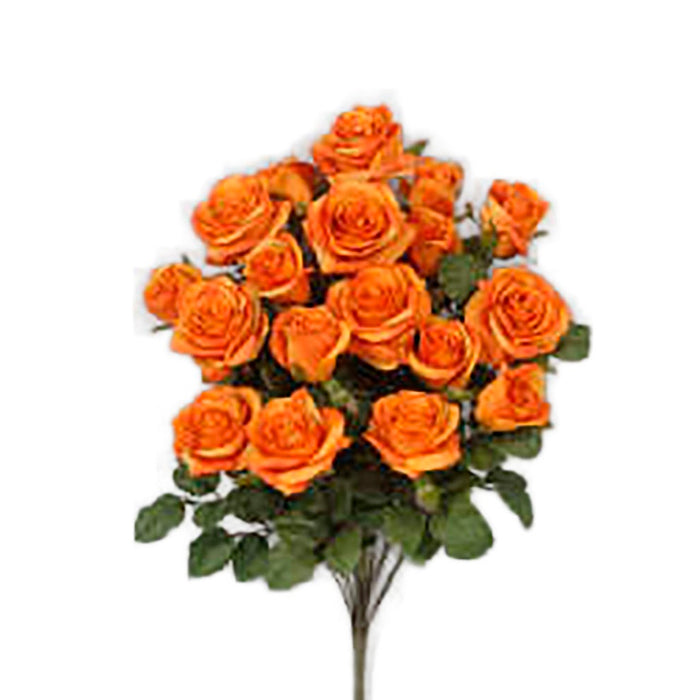 Grandiflora Rose Bush