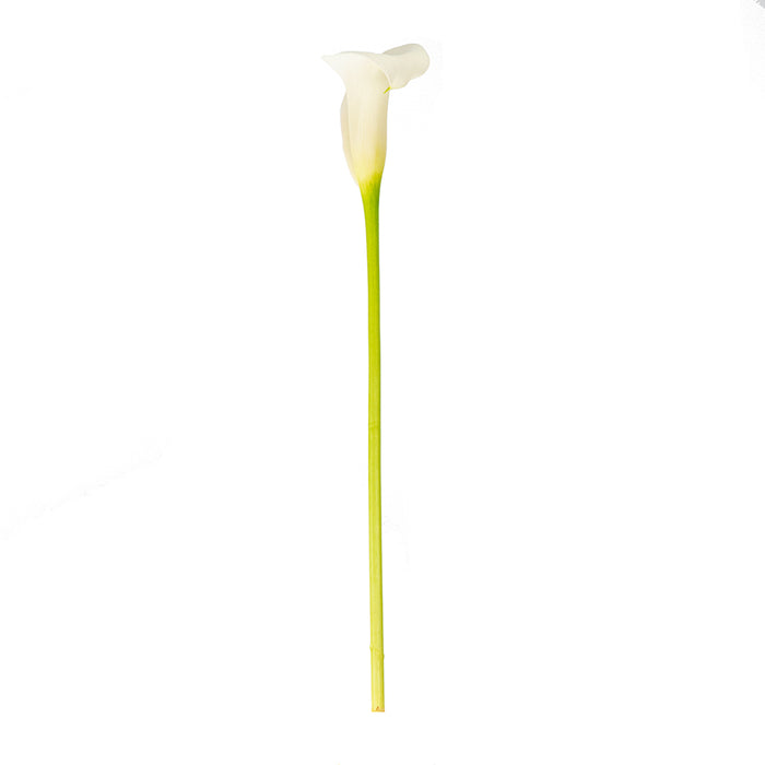 Minicallas