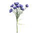 19 in Poppy Bundle - Blue