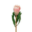 26 in Protea Spray - Pink