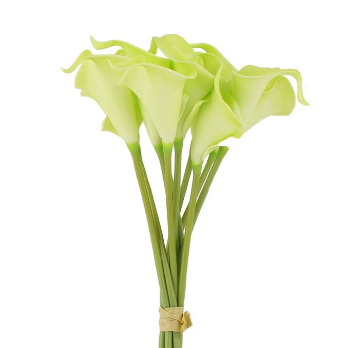 Calla Lily Bundle