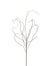 46" Curly Willow Twig - Green/Brown
