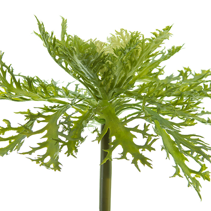 Ornamental Kale Spray