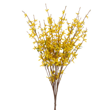 32" Forsythia Bush - Yellow