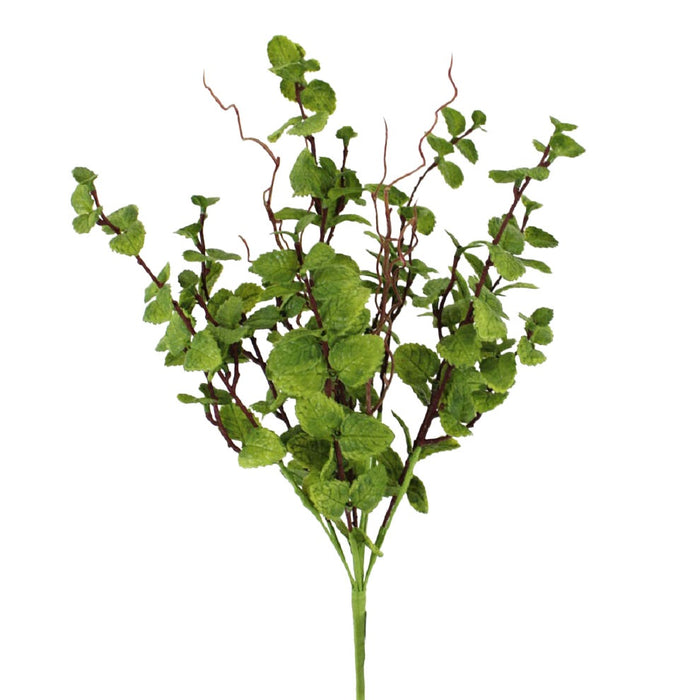 23 in Peppermint Leaves Bush - Green