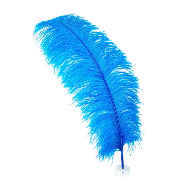 Ostrich Feathers