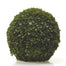 Boxwood Sphere