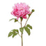 19.5" Peony Open - Pink