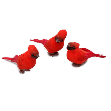 Styro Cardinal w/Feathered Tail