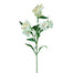 28 in Alstromeria Spray - White