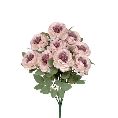 Ranunculus Bush - Mauve/Cream