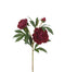 29" Garden Peony Spray - Burgundy