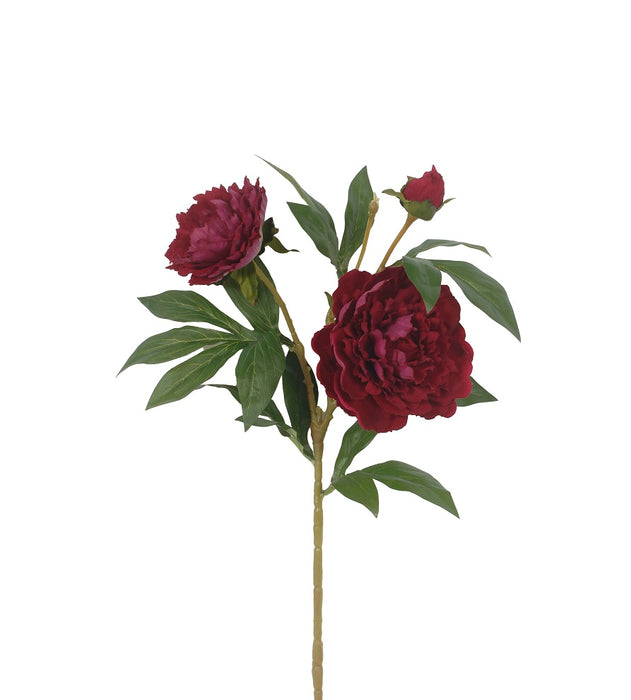 29" Garden Peony Spray - Burgundy