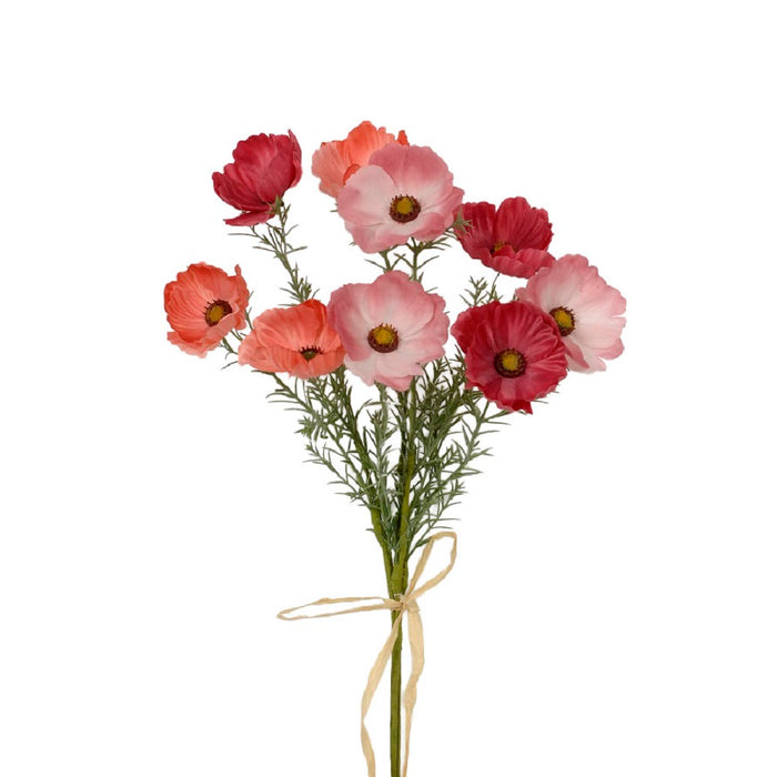 19 in Poppy Bundle - Coral/Burgundy
