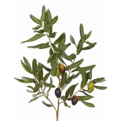 33" Olive Leaf